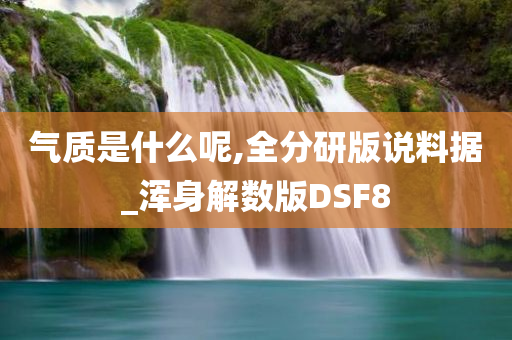 气质是什么呢,全分研版说料据_浑身解数版DSF8