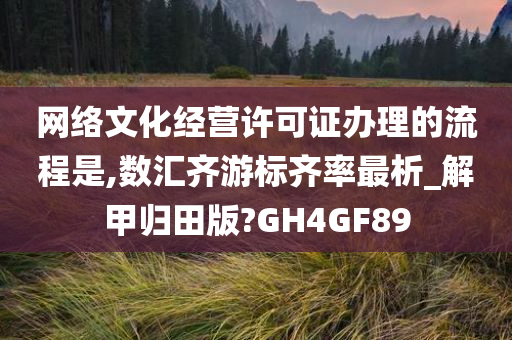 网络文化经营许可证办理的流程是,数汇齐游标齐率最析_解甲归田版?GH4GF89