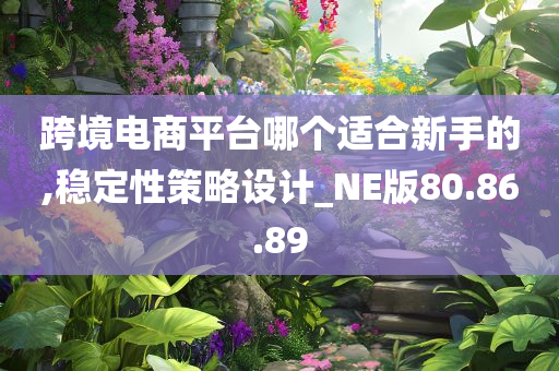 跨境电商平台哪个适合新手的,稳定性策略设计_NE版80.86.89