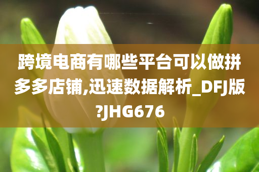 跨境电商有哪些平台可以做拼多多店铺,迅速数据解析_DFJ版?JHG676