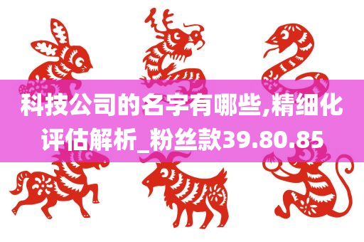 科技公司的名字有哪些,精细化评估解析_粉丝款39.80.85