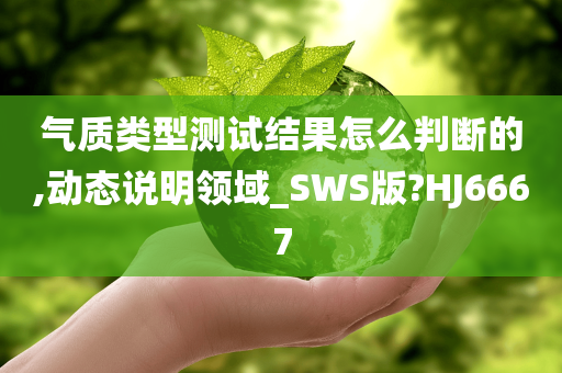 气质类型测试结果怎么判断的,动态说明领域_SWS版?HJ6667