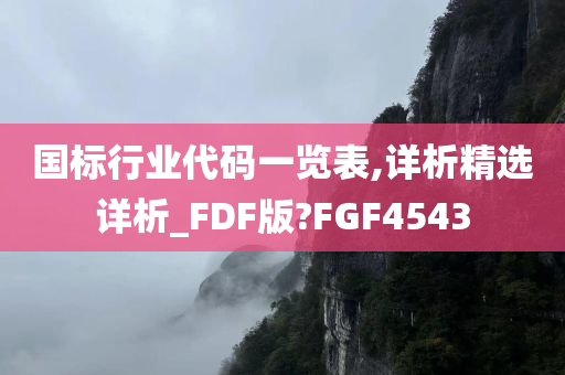 国标行业代码一览表,详析精选详析_FDF版?FGF4543