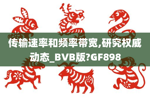 传输速率和频率带宽,研究权威动态_BVB版?GF898