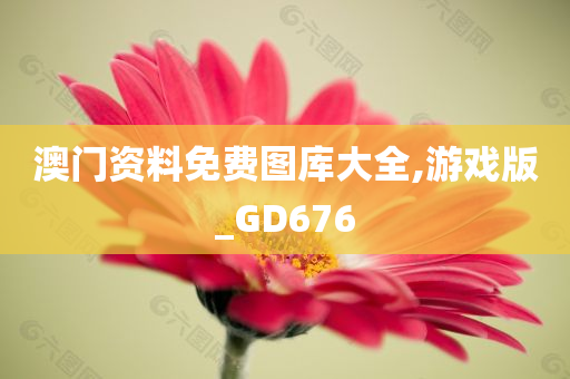 澳门资料免费图库大全,游戏版_GD676