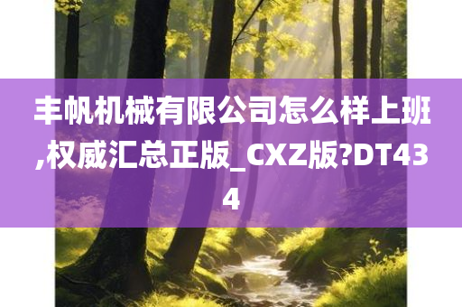 丰帆机械有限公司怎么样上班,权威汇总正版_CXZ版?DT434