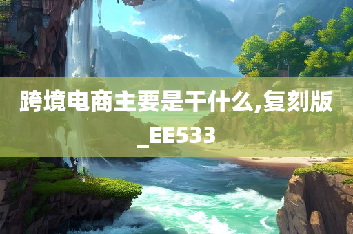 跨境电商主要是干什么,复刻版_EE533