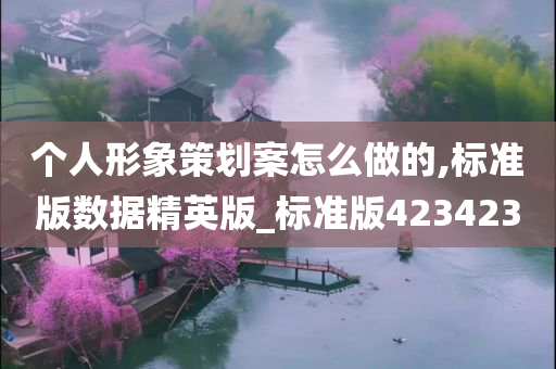 个人形象策划案怎么做的,标准版数据精英版_标准版423423