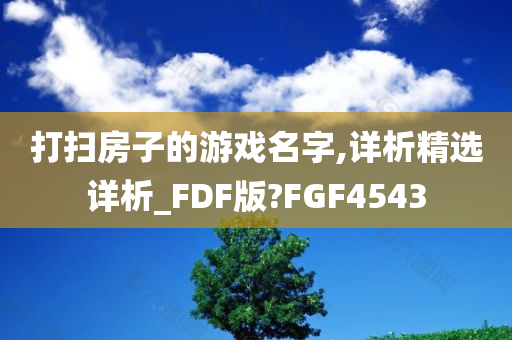 打扫房子的游戏名字,详析精选详析_FDF版?FGF4543