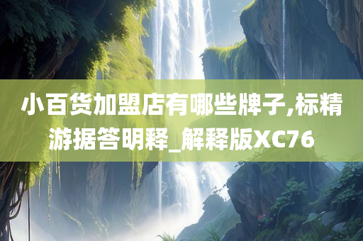 小百货加盟店有哪些牌子,标精游据答明释_解释版XC76