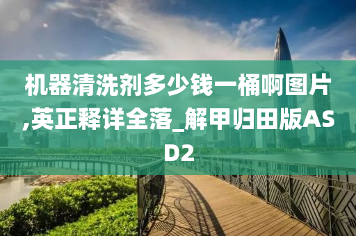 机器清洗剂多少钱一桶啊图片,英正释详全落_解甲归田版ASD2