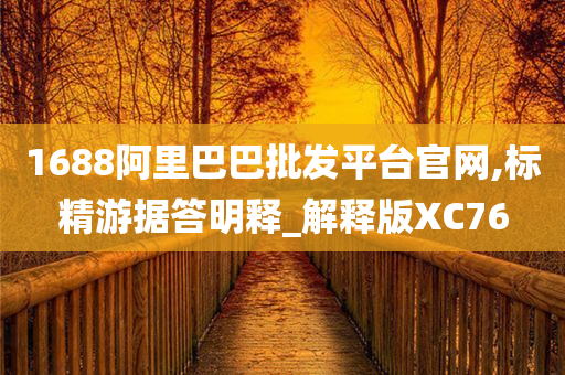 1688阿里巴巴批发平台官网,标精游据答明释_解释版XC76