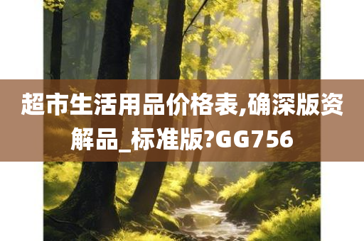 超市生活用品价格表,确深版资解品_标准版?GG756