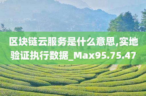 区块链云服务是什么意思,实地验证执行数据_Max95.75.47