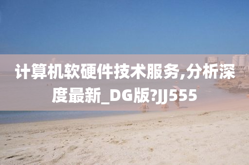 计算机软硬件技术服务,分析深度最新_DG版?JJ555