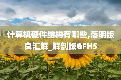 计算机硬件结构有哪些,落明版良汇解_解剖版GFH5