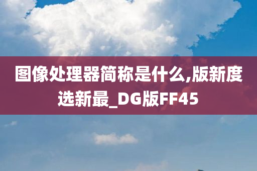 图像处理器简称是什么,版新度选新最_DG版FF45