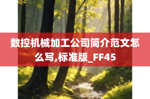 数控机械加工公司简介范文怎么写,标准版_FF45