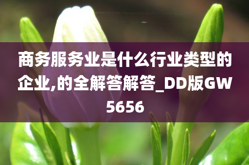 商务服务业是什么行业类型的企业,的全解答解答_DD版GW5656