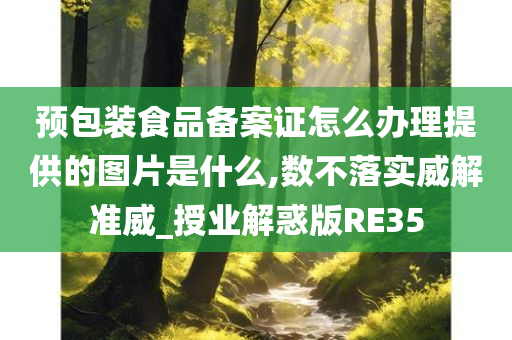 预包装食品备案证怎么办理提供的图片是什么,数不落实威解准威_授业解惑版RE35