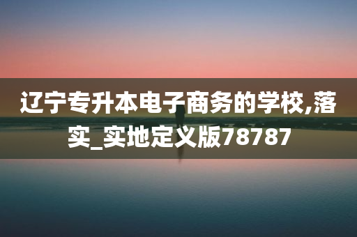 辽宁专升本电子商务的学校,落实_实地定义版78787