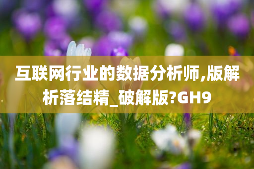 互联网行业的数据分析师,版解析落结精_破解版?GH9