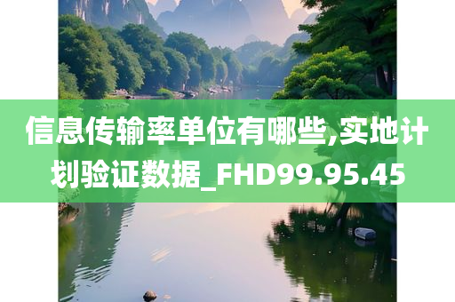 信息传输率单位有哪些,实地计划验证数据_FHD99.95.45