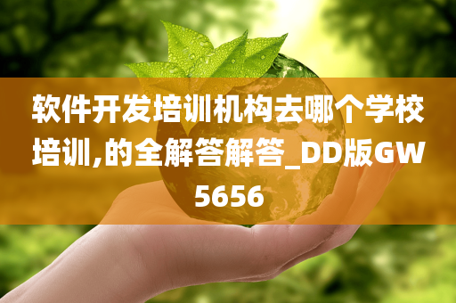 软件开发培训机构去哪个学校培训,的全解答解答_DD版GW5656