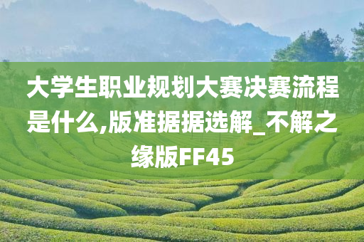 大学生职业规划大赛决赛流程是什么,版准据据选解_不解之缘版FF45