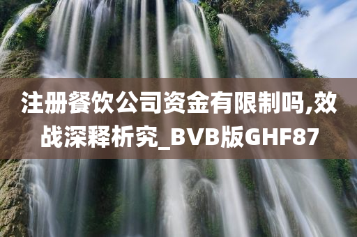 注册餐饮公司资金有限制吗,效战深释析究_BVB版GHF87