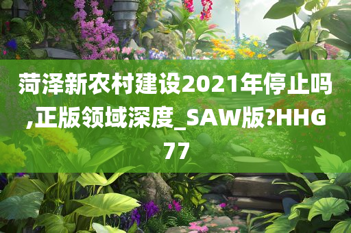 菏泽新农村建设2021年停止吗,正版领域深度_SAW版?HHG77