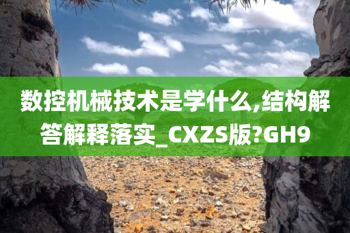 数控机械技术是学什么,结构解答解释落实_CXZS版?GH9