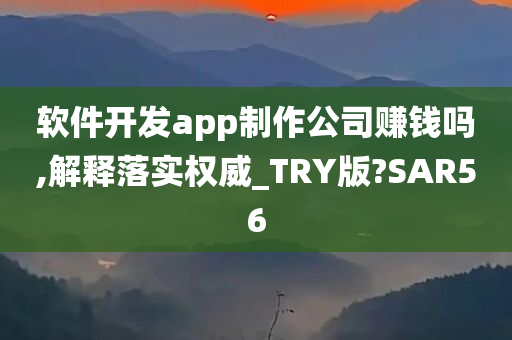 软件开发app制作公司赚钱吗,解释落实权威_TRY版?SAR56