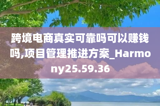 跨境电商真实可靠吗可以赚钱吗,项目管理推进方案_Harmony25.59.36