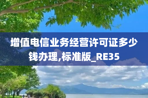 增值电信业务经营许可证多少钱办理,标准版_RE35