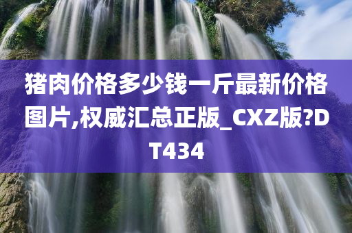 猪肉价格多少钱一斤最新价格图片,权威汇总正版_CXZ版?DT434