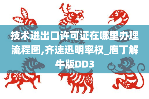 技术进出口许可证在哪里办理流程图,齐速迅明率权_庖丁解牛版DD3