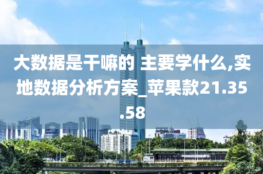 大数据是干嘛的 主要学什么,实地数据分析方案_苹果款21.35.58