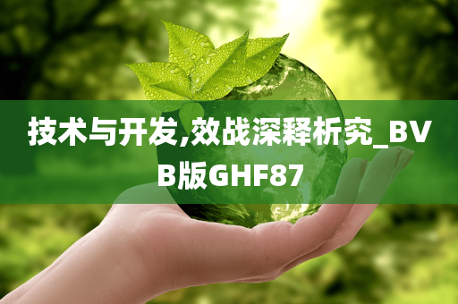 技术与开发,效战深释析究_BVB版GHF87