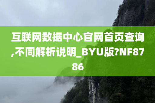 互联网数据中心官网首页查询,不同解析说明_BYU版?NF8786