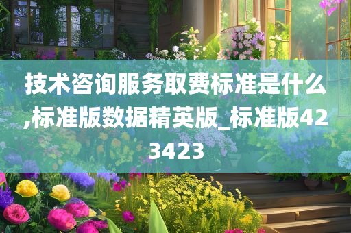 技术咨询服务取费标准是什么,标准版数据精英版_标准版423423