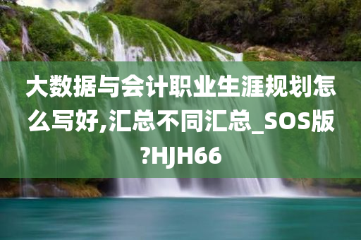 大数据与会计职业生涯规划怎么写好,汇总不同汇总_SOS版?HJH66