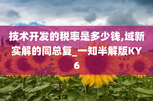 技术开发的税率是多少钱,域新实解的同总复_一知半解版KY6