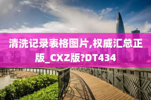 清洗记录表格图片,权威汇总正版_CXZ版?DT434