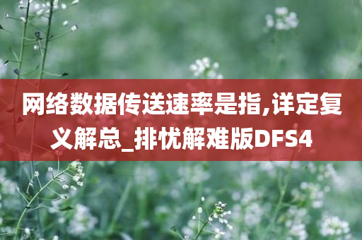 网络数据传送速率是指,详定复义解总_排忧解难版DFS4