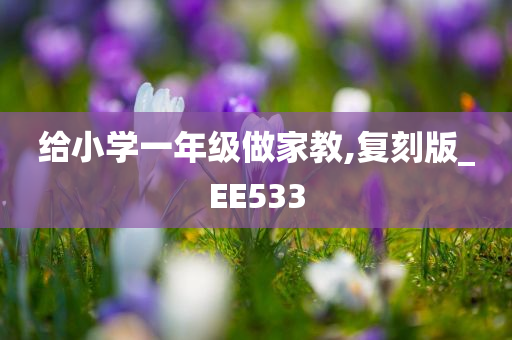 给小学一年级做家教,复刻版_EE533