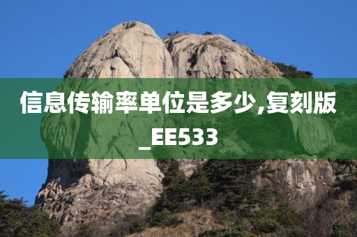 信息传输率单位是多少,复刻版_EE533