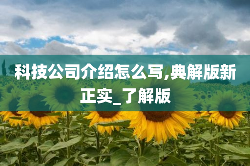 科技公司介绍怎么写,典解版新正实_了解版