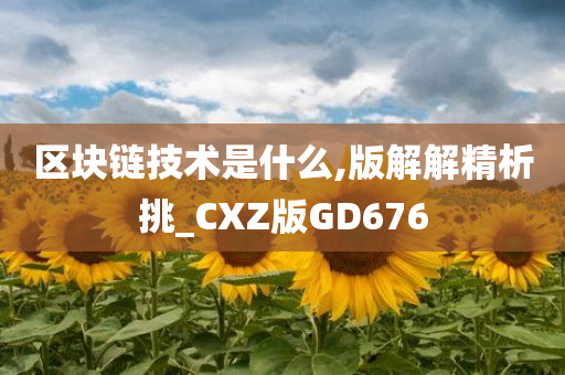 区块链技术是什么,版解解精析挑_CXZ版GD676