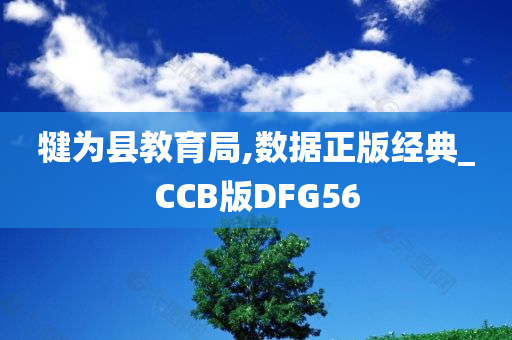 犍为县教育局,数据正版经典_CCB版DFG56